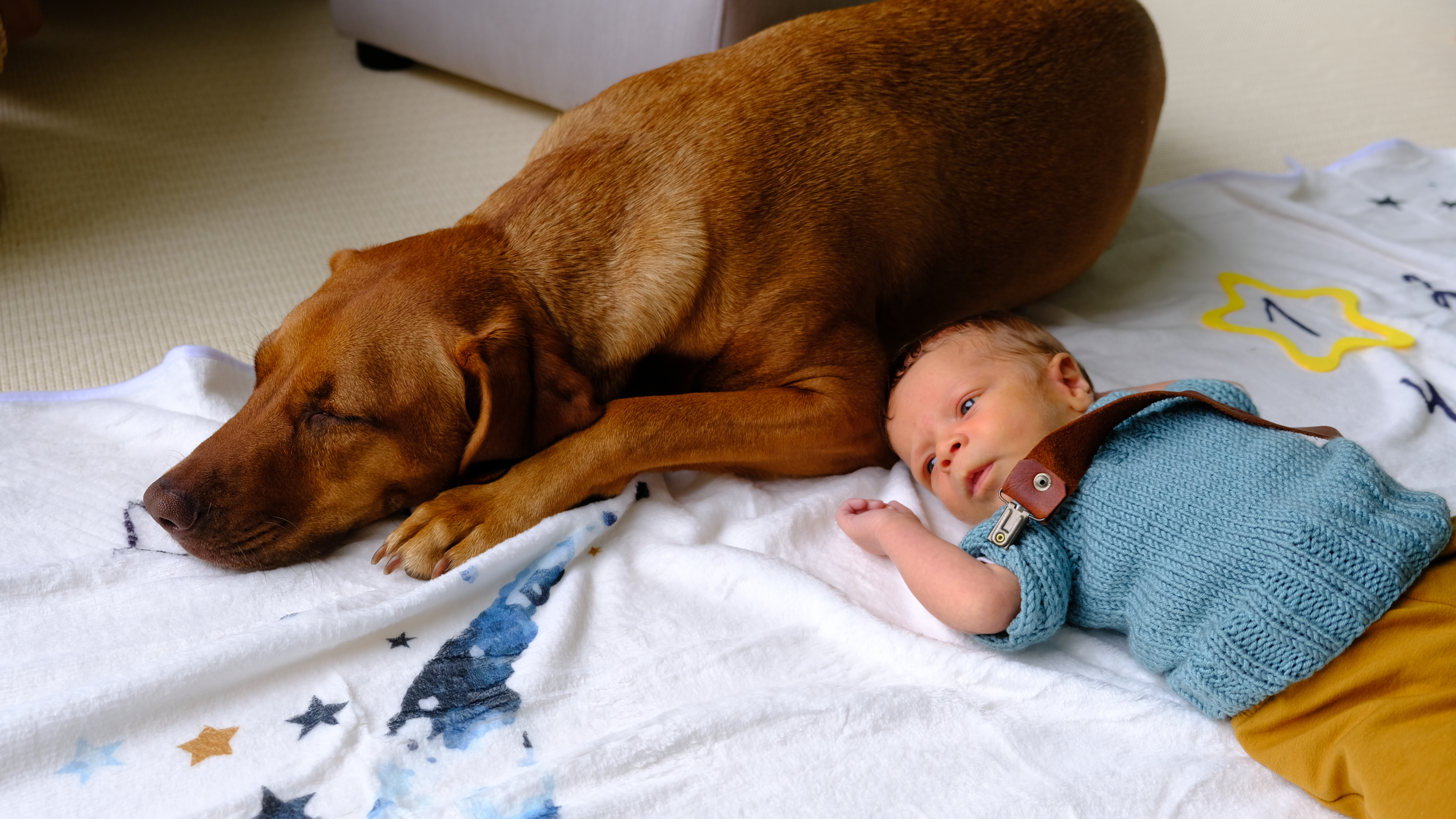 Bester Freund von Anfang an