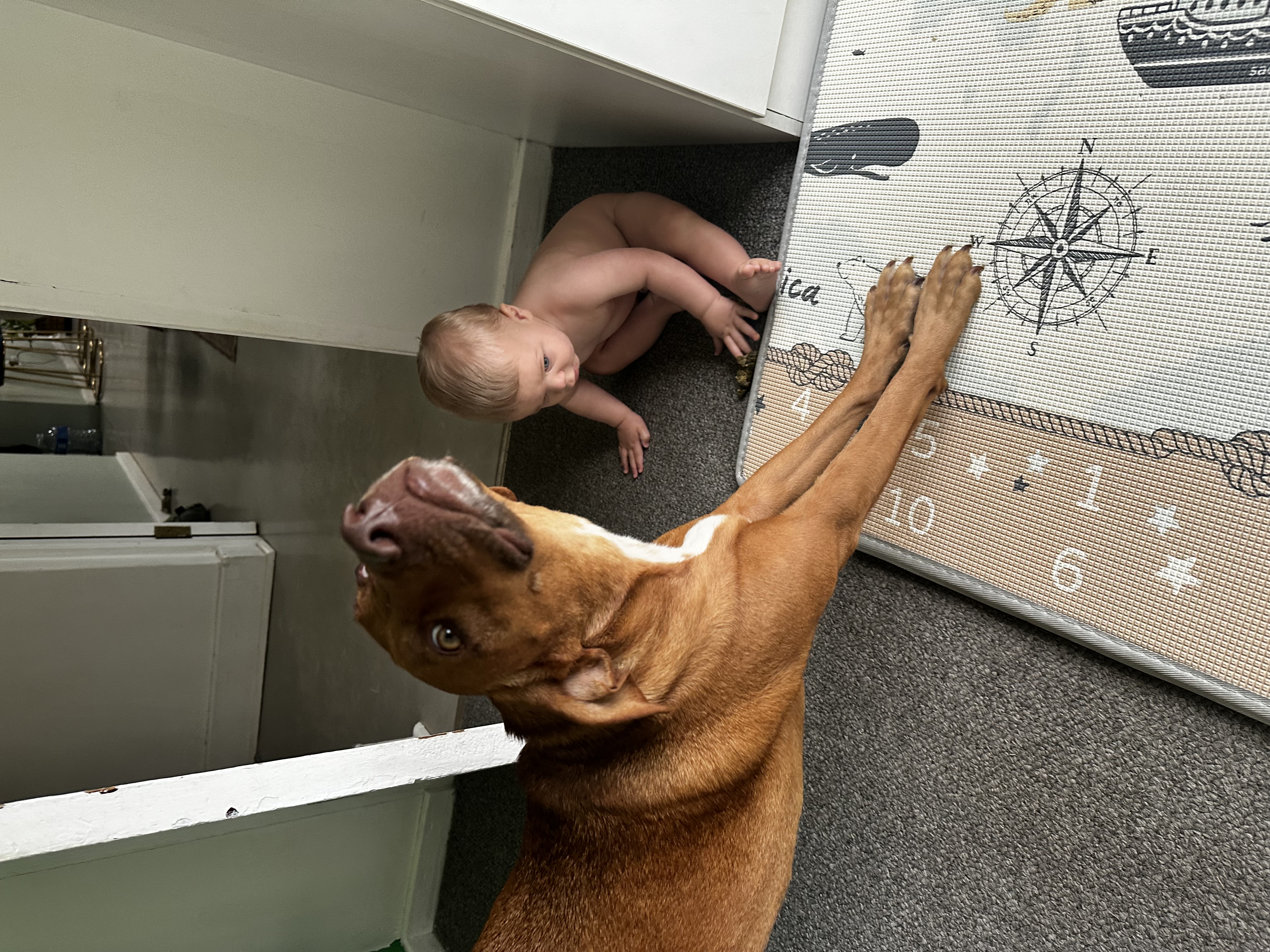 Zwei kleine Entdecker